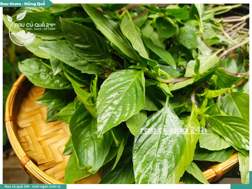 Rau thơm - Húng quế 65g