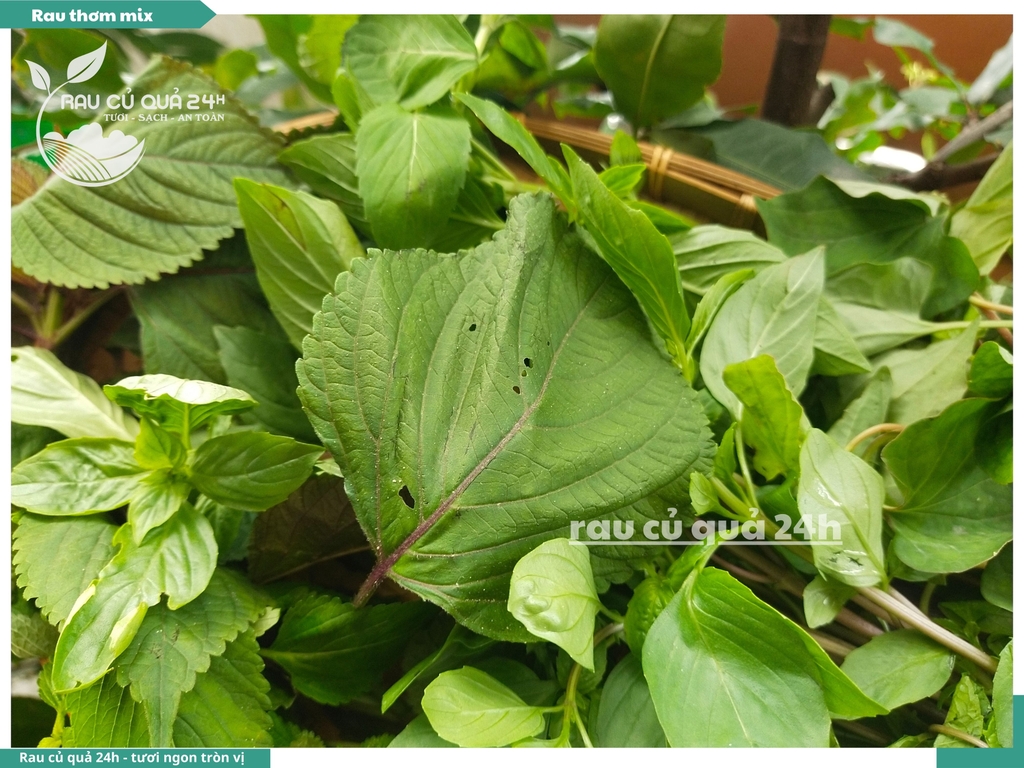 Rau thơm mix các loại