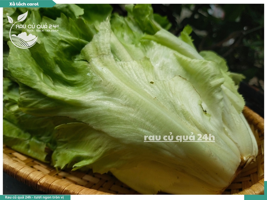 Xà lách Carol - Khoảng 300g