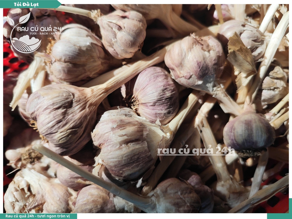 Củ tỏi Đà Lạt 90g