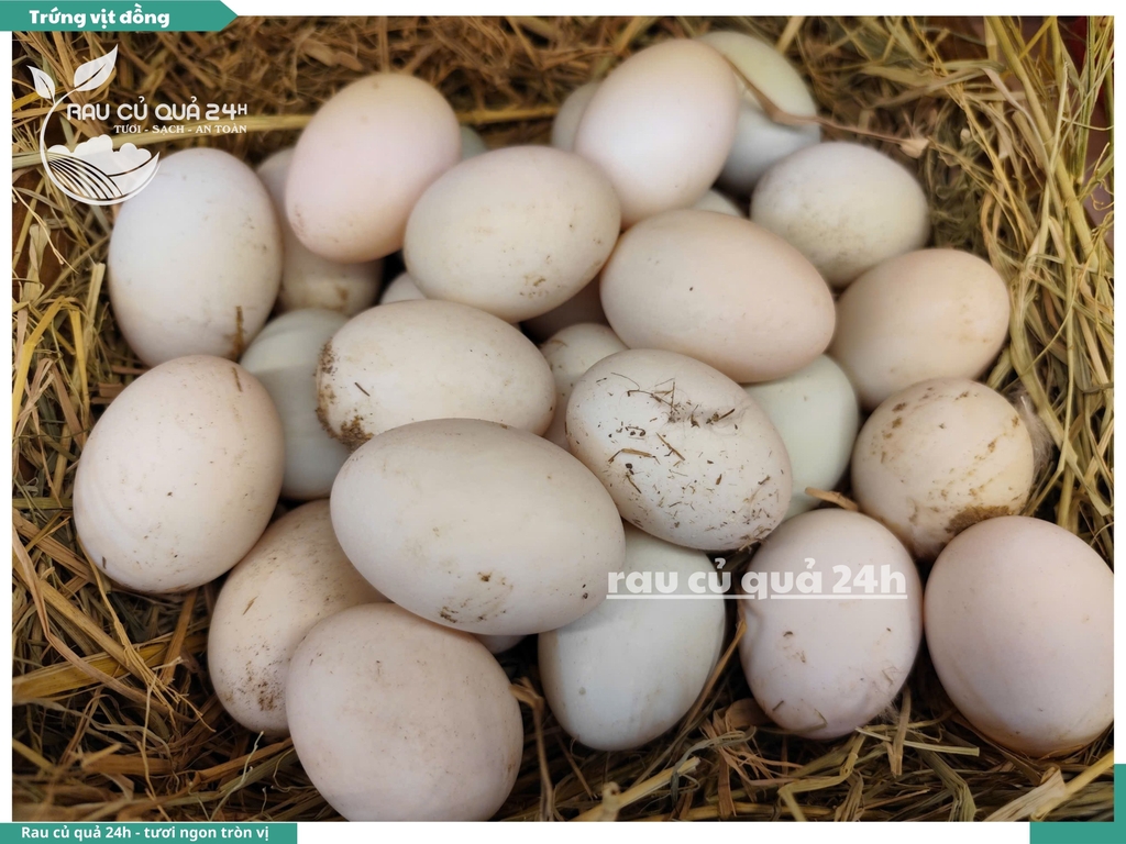 Trứng vịt chạy đồng Phước Hải