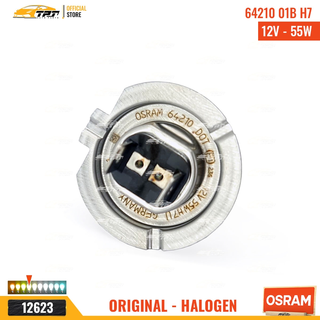 64210 01B Bóng Đèn Halogen Tiêu Chuẩn H7 [12V - 55W] Vĩ = 1c OSRAM - Germany