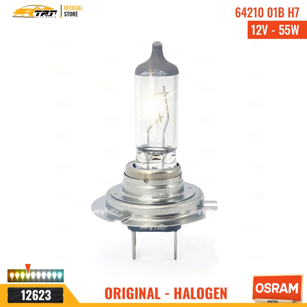 64210 01B Bóng Đèn Halogen Tiêu Chuẩn H7 [12V - 55W] Vĩ = 1c OSRAM - Germany