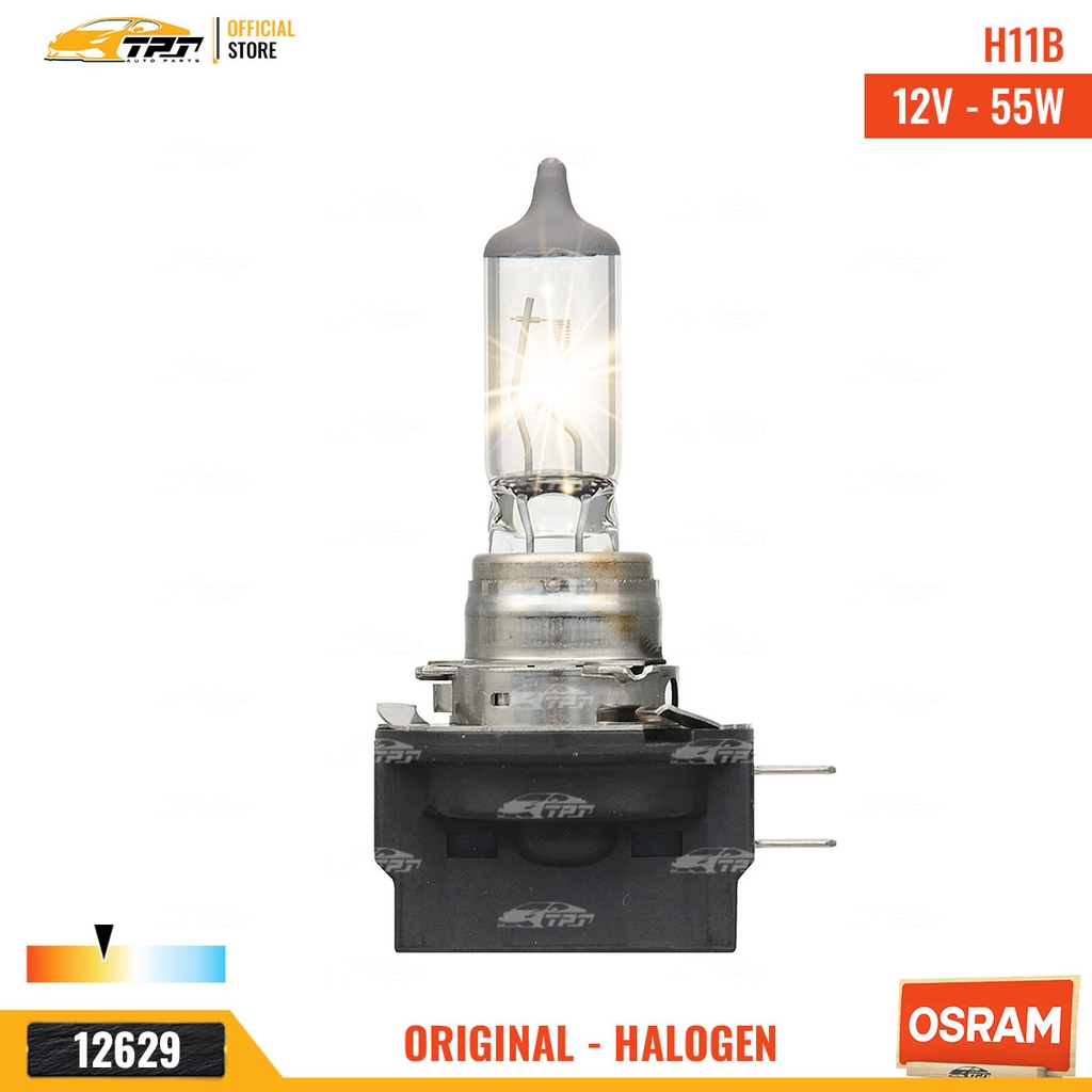 64241 Bóng Đèn Halogen Tiêu Chuẩn H11 [12V - 55W] Hộp = 1c OSRAM - Germany