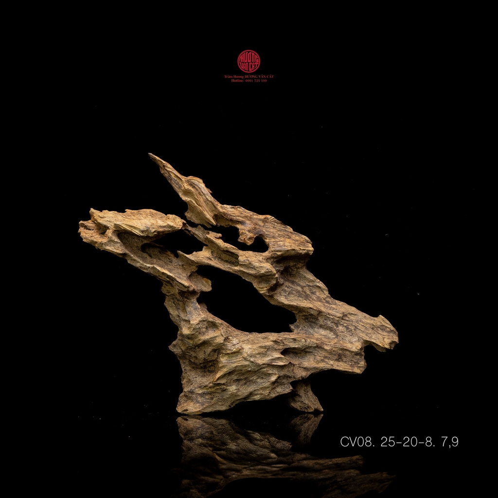 Trầm cảnh già dầu thiên nhiên cao cấp (25x20x8cm)