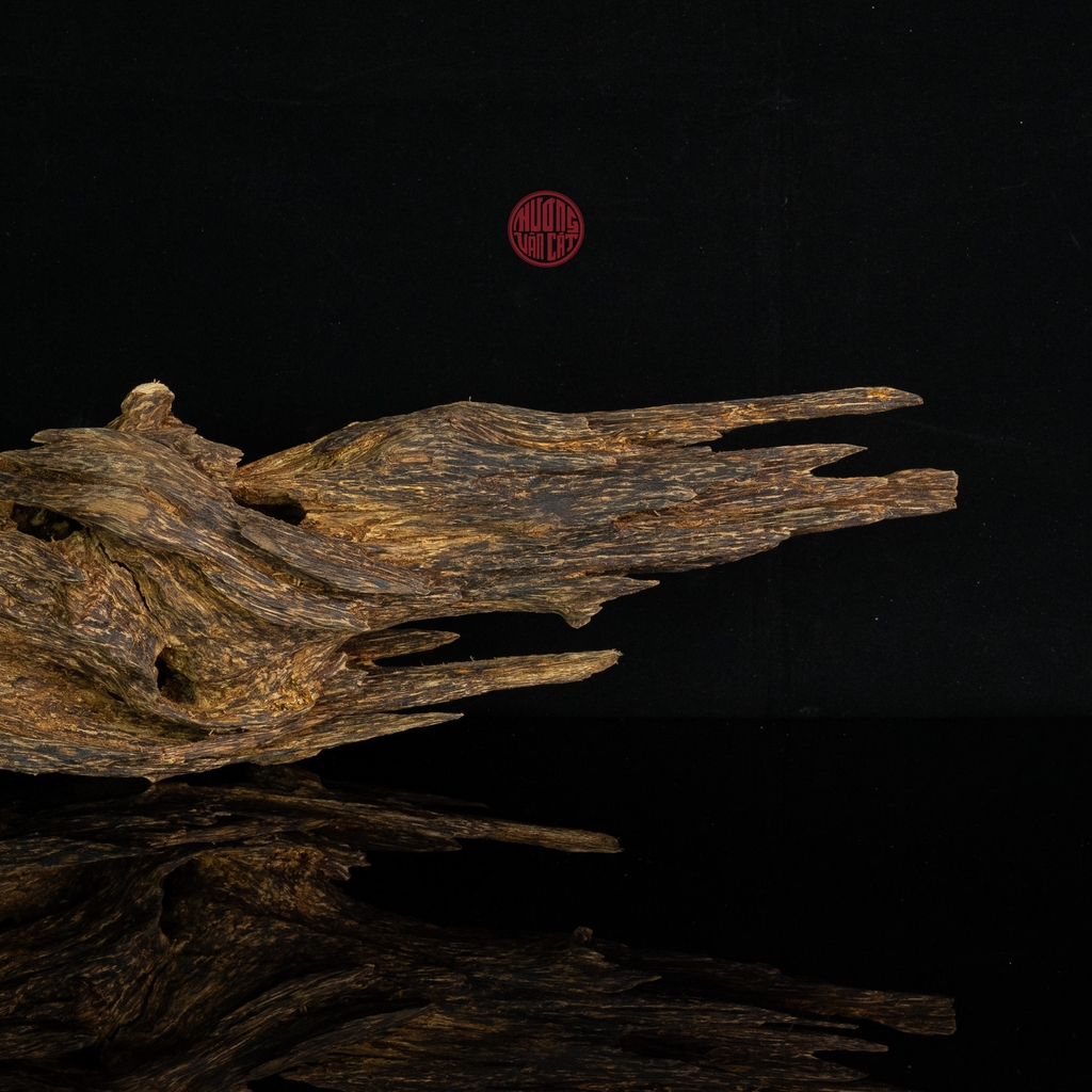 Trầm cảnh Mắt Tử thiên nhiên cao cấp (63x13x12cm)