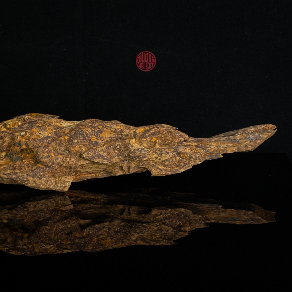 Trầm cảnh Kiến thiên nhiên cao cấp (44x8x8cm)