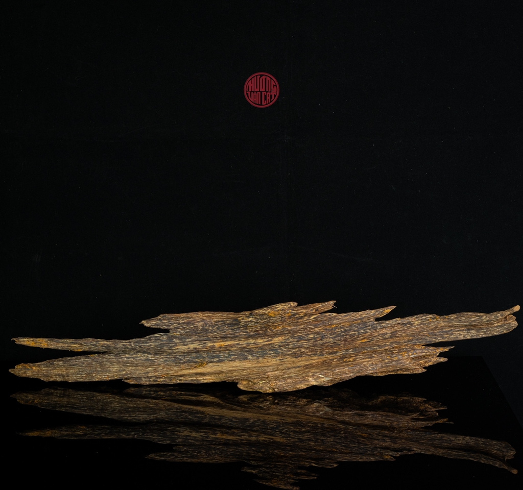 Trầm cảnh Kiến thiên nhiên cao cấp (44x8x8cm)