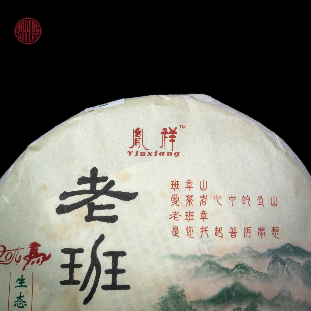 Trà phổ nhĩ sống Lão Ban Chương Dận Tường cao cấp