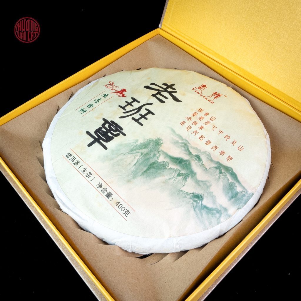 Trà phổ nhĩ sống Lão Ban Chương Dận Tường cao cấp