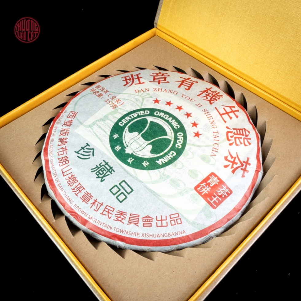 Trà phổ nhĩ sống Ban Chương hữu cơ sinh thái