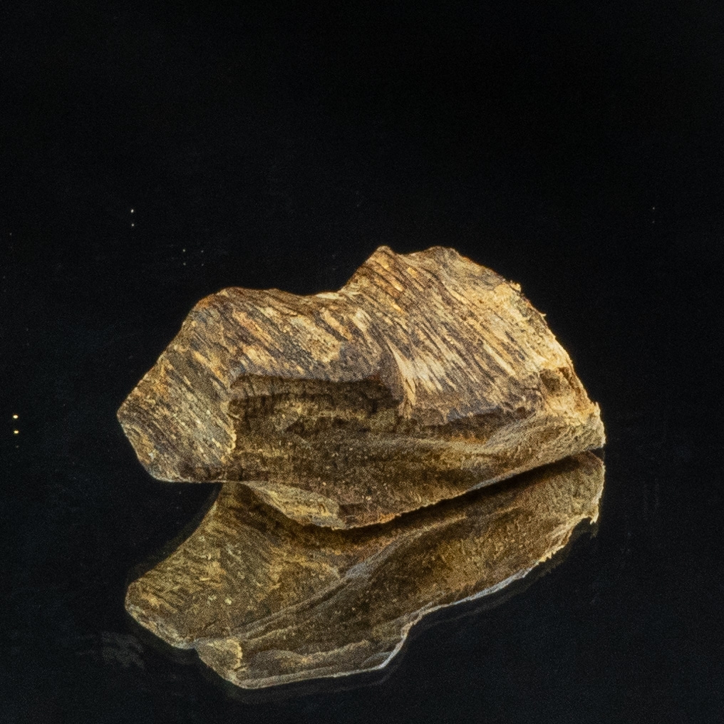 THANH KỲ NAM CHÌM NƯỚC QUÝ HIẾM ( 1,5 gram )