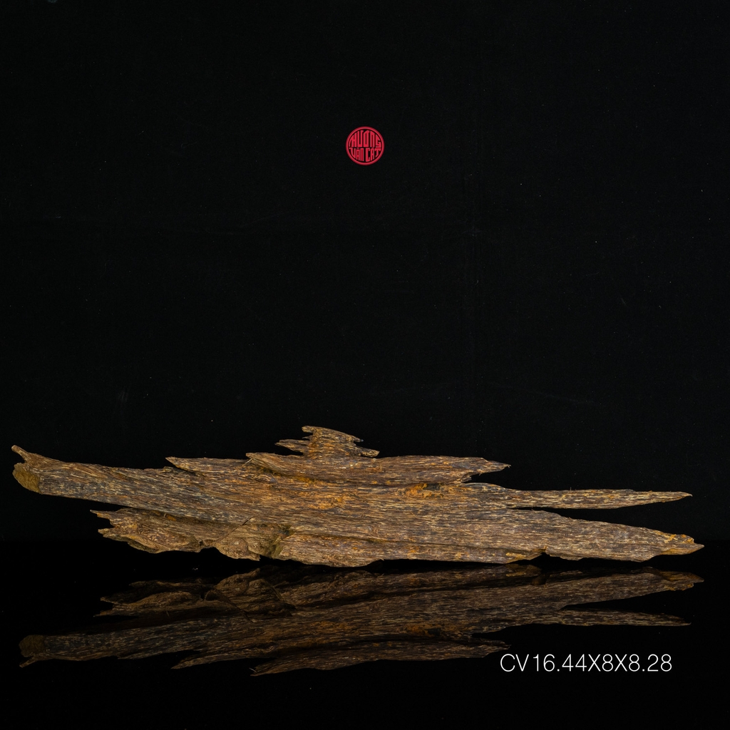 Trầm cảnh Kiến thiên nhiên cao cấp (44x8x8cm)