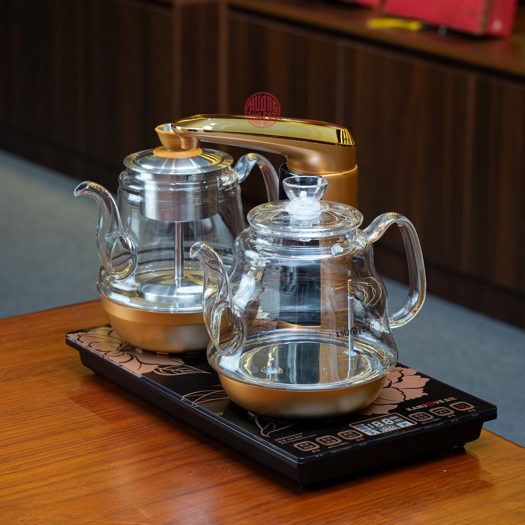 BỘ BẾP ĐIỆN NẤU NƯỚC THỦY TINH GA909