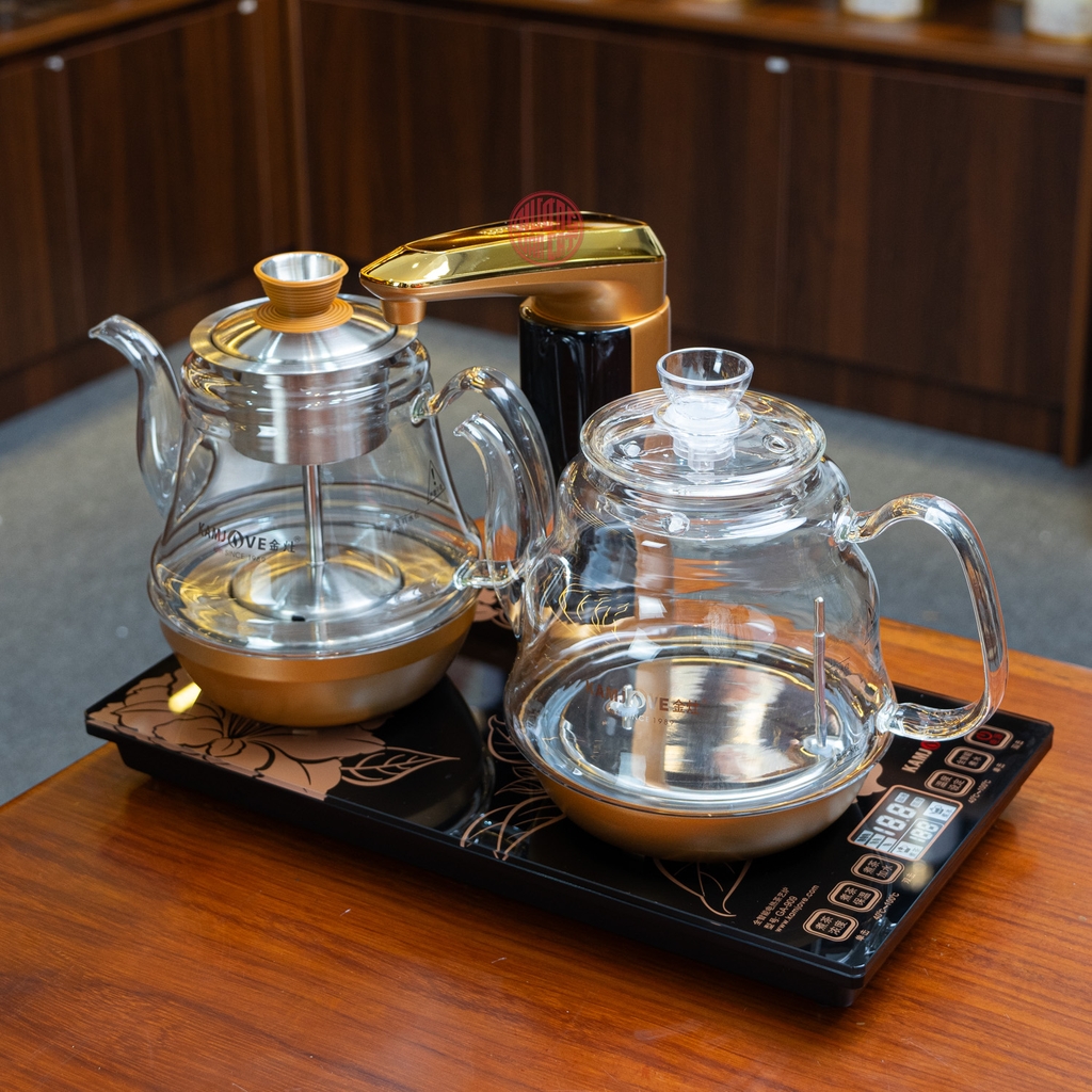 BỘ BẾP ĐIỆN NẤU NƯỚC THỦY TINH GA909