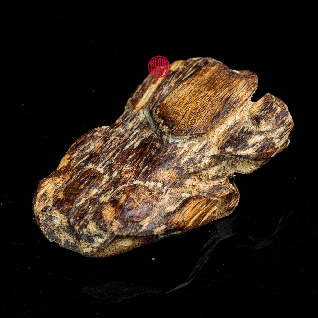 THANH KỲ NAM CHÌM NƯỚC QUÝ HIẾM (5G)