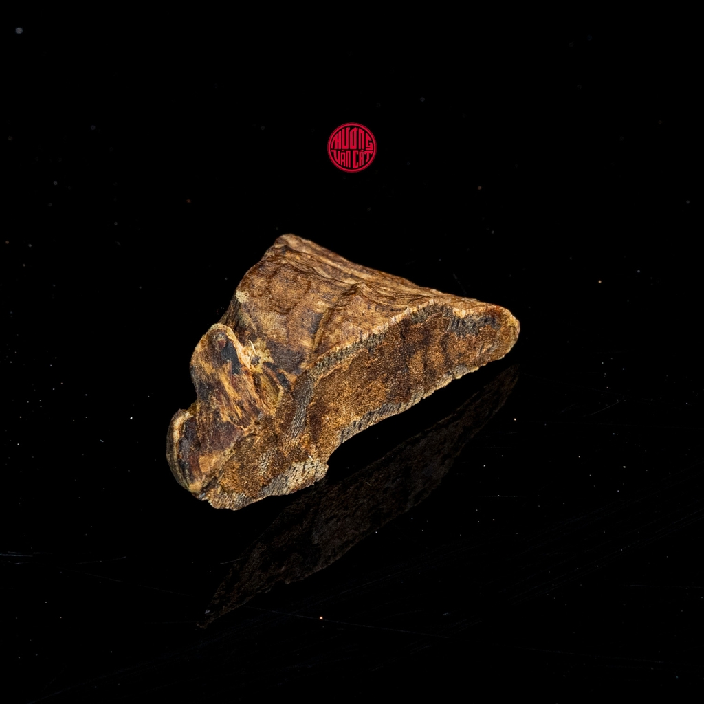 THANH KỲ NAM CHÌM NƯỚC QUÝ HIẾM (1,7G)