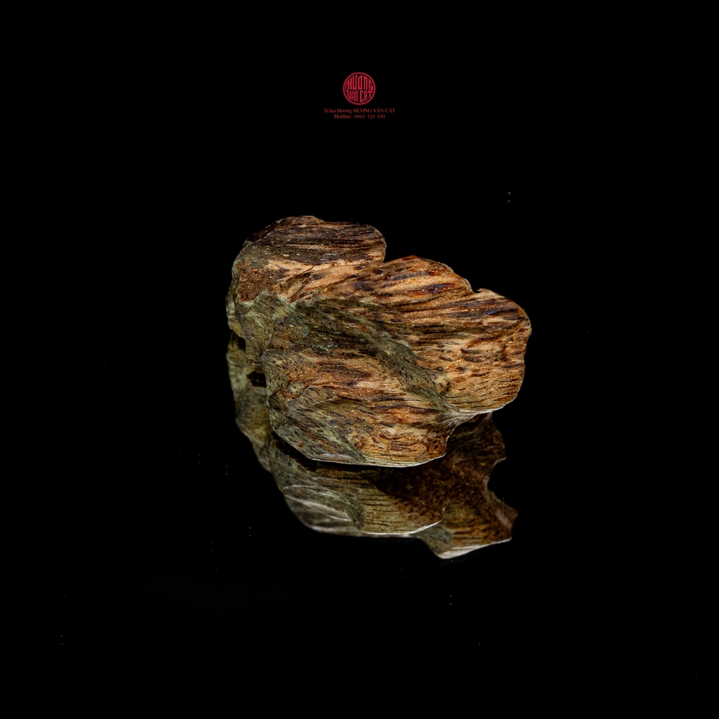 THANH KỲ NAM QUÝ HIẾM (3GR)