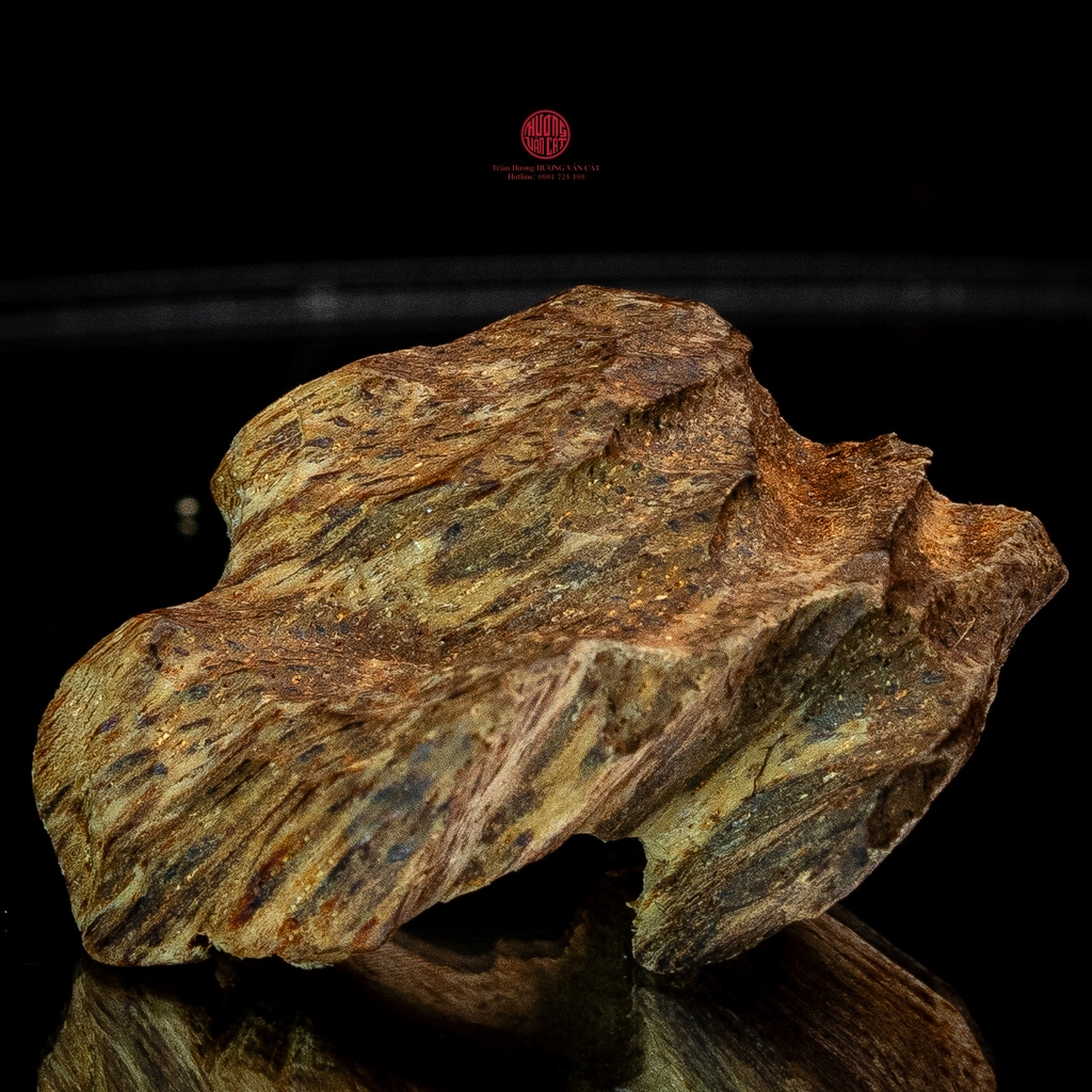 THANH KỲ NAM QUÝ HIẾM (3GR)