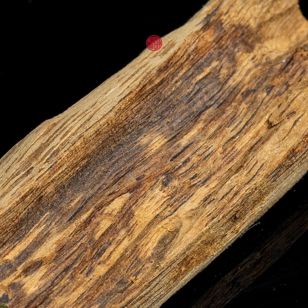 BÌ THANH KỲ NAM QUÝ HIẾM (3,8G)