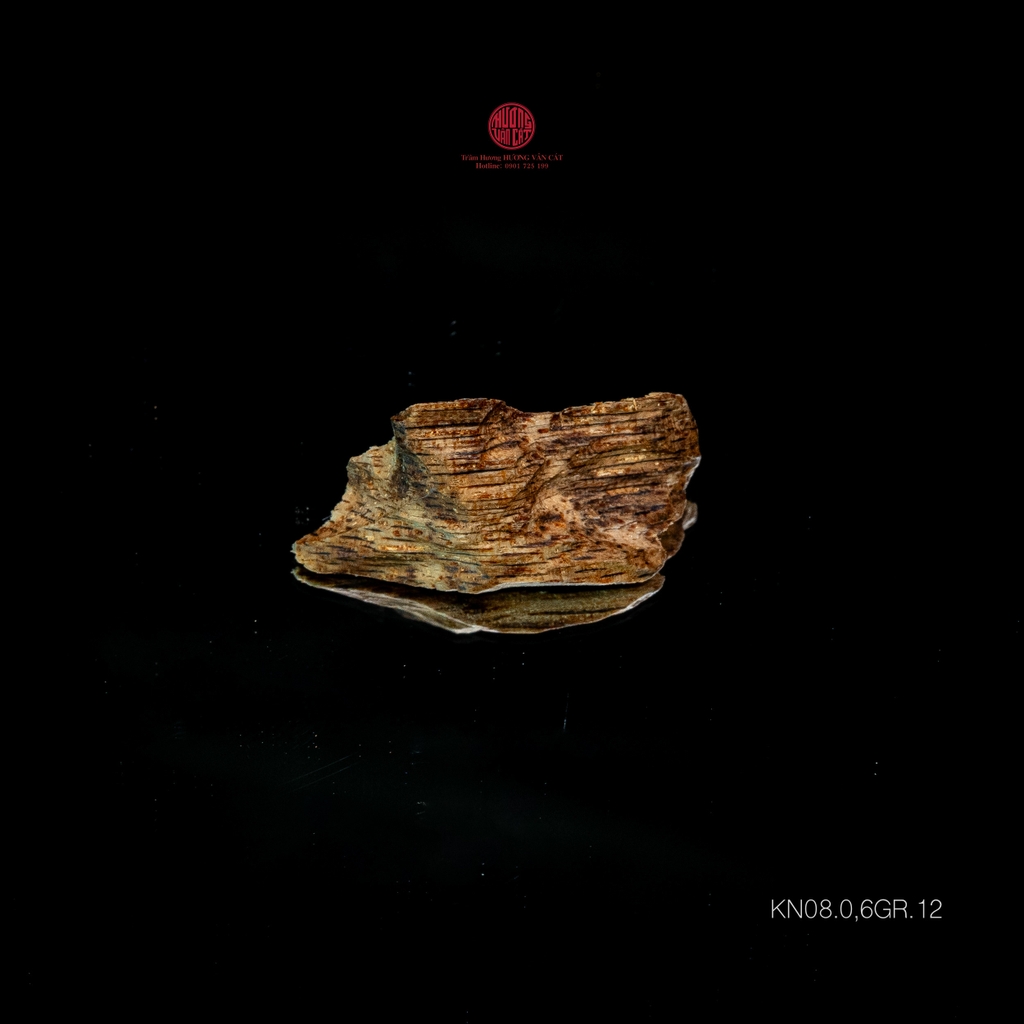 THANH KỲ NAM QUÝ HIẾM (0,6GR)