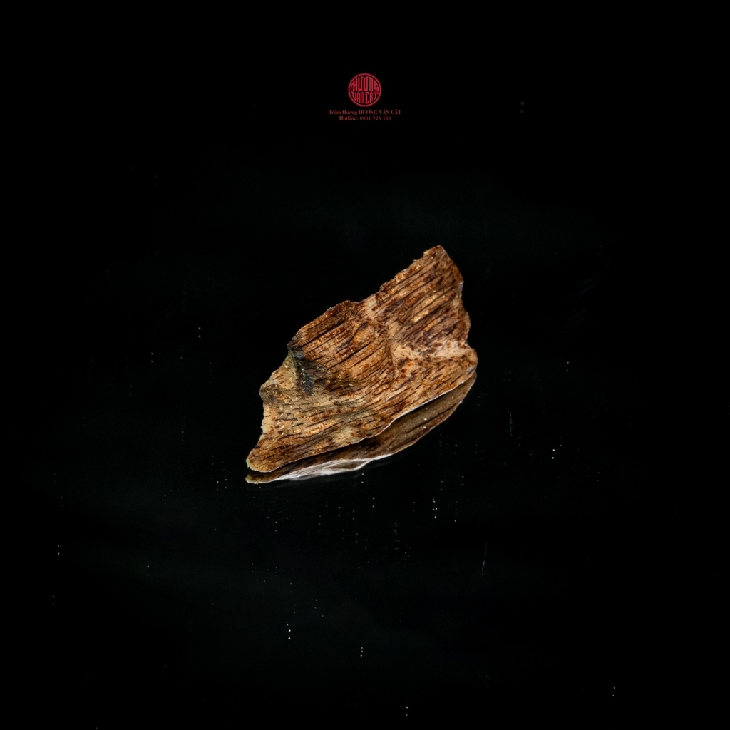 THANH KỲ NAM QUÝ HIẾM (0,6GR)