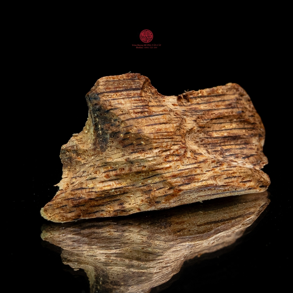 THANH KỲ NAM QUÝ HIẾM (0,6GR)