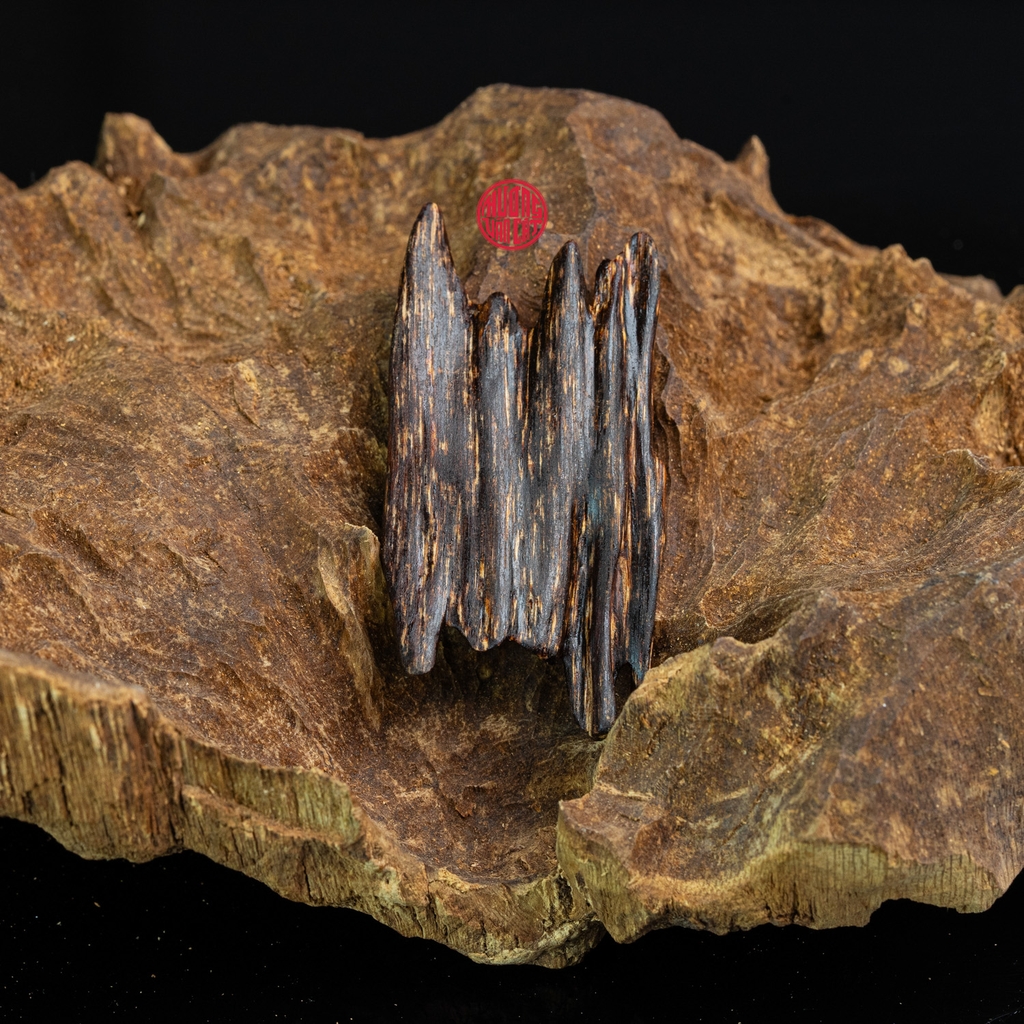 MẶT DÂY CHUYỀN TRẦM HƯƠNG CHÌM NƯỚC DÁNG TỰ NHIÊN (3G)