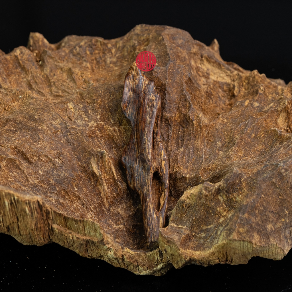 MẶT DÂY CHUYỀN TRẦM HƯƠNG CHÌM NƯỚC DÁNG TỰ NHIÊN (2G)