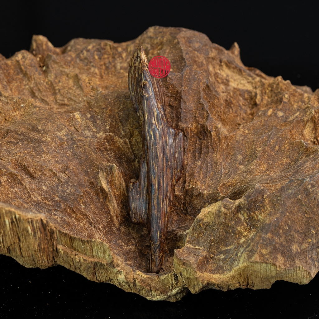 MẶT DÂY CHUYỀN TRẦM HƯƠNG CHÌM NƯỚC DÁNG TỰ NHIÊN (4,1G)