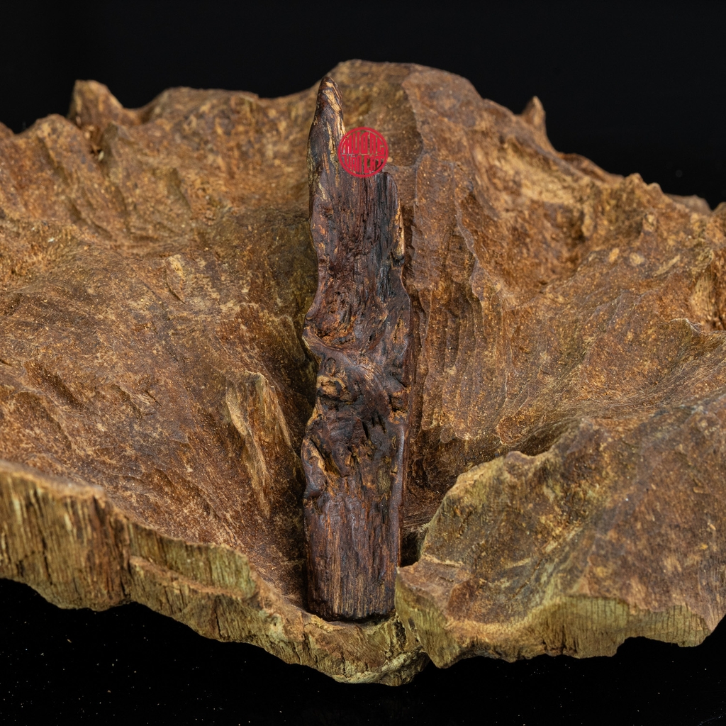 MẶT DÂY CHUYỀN TRẦM HƯƠNG CHÌM NƯỚC DÁNG TỰ NHIÊN (2,8G)