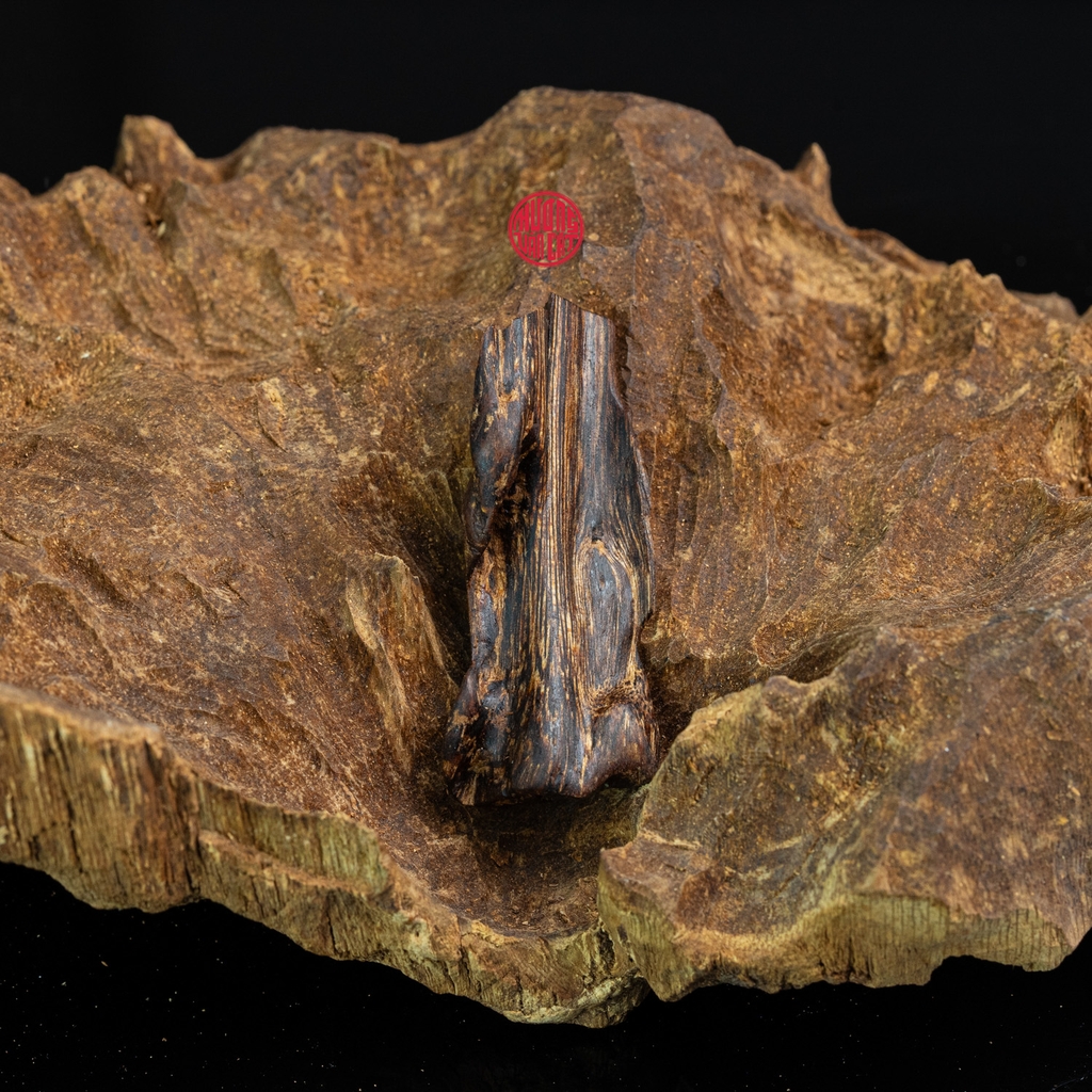 MẶT DÂY CHUYỀN TRẦM HƯƠNG CHÌM NƯỚC DÁNG TỰ NHIÊN (3,3G)