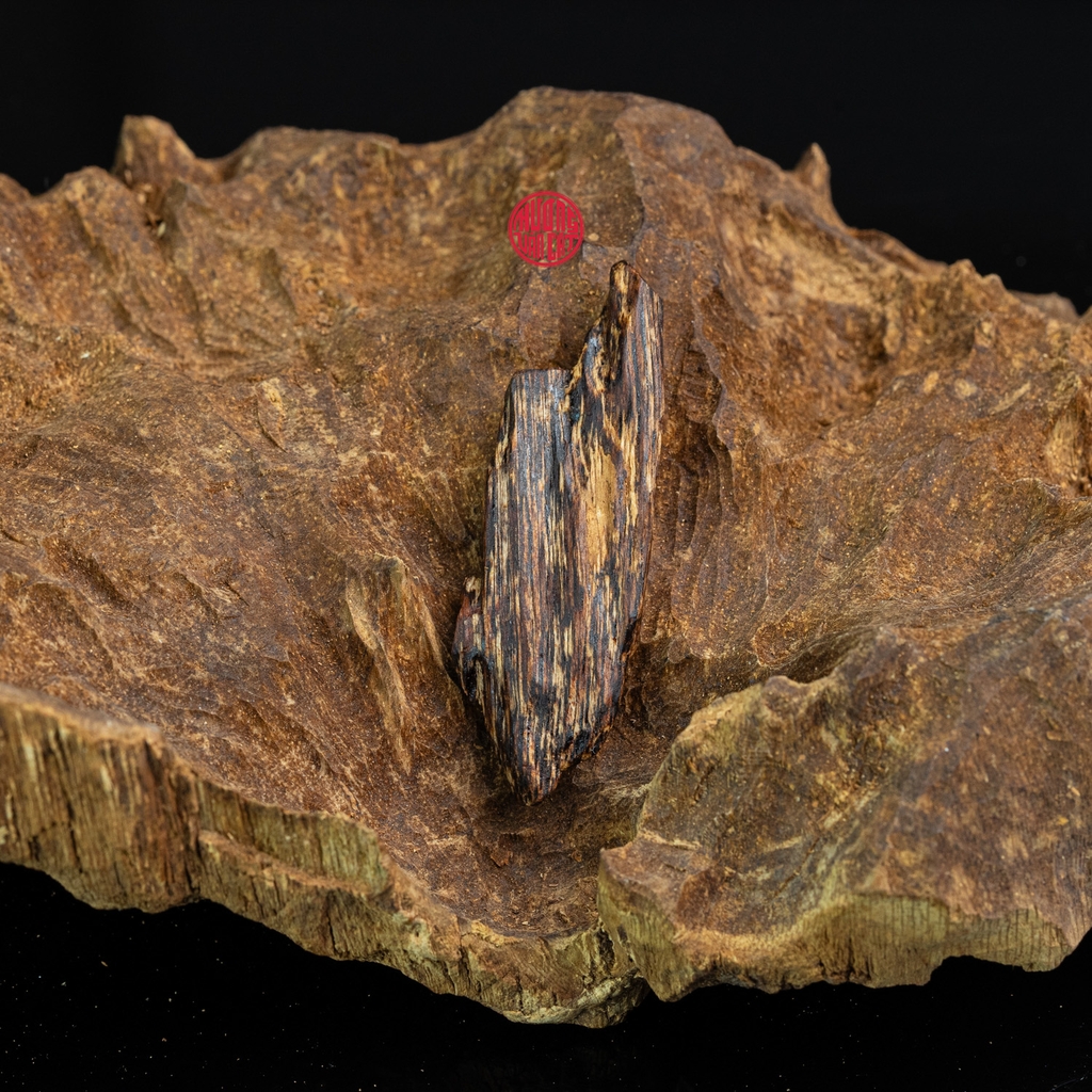 MẶT DÂY CHUYỀN TRẦM HƯƠNG CHÌM NƯỚC DÁNG TỰ NHIÊN (2G)