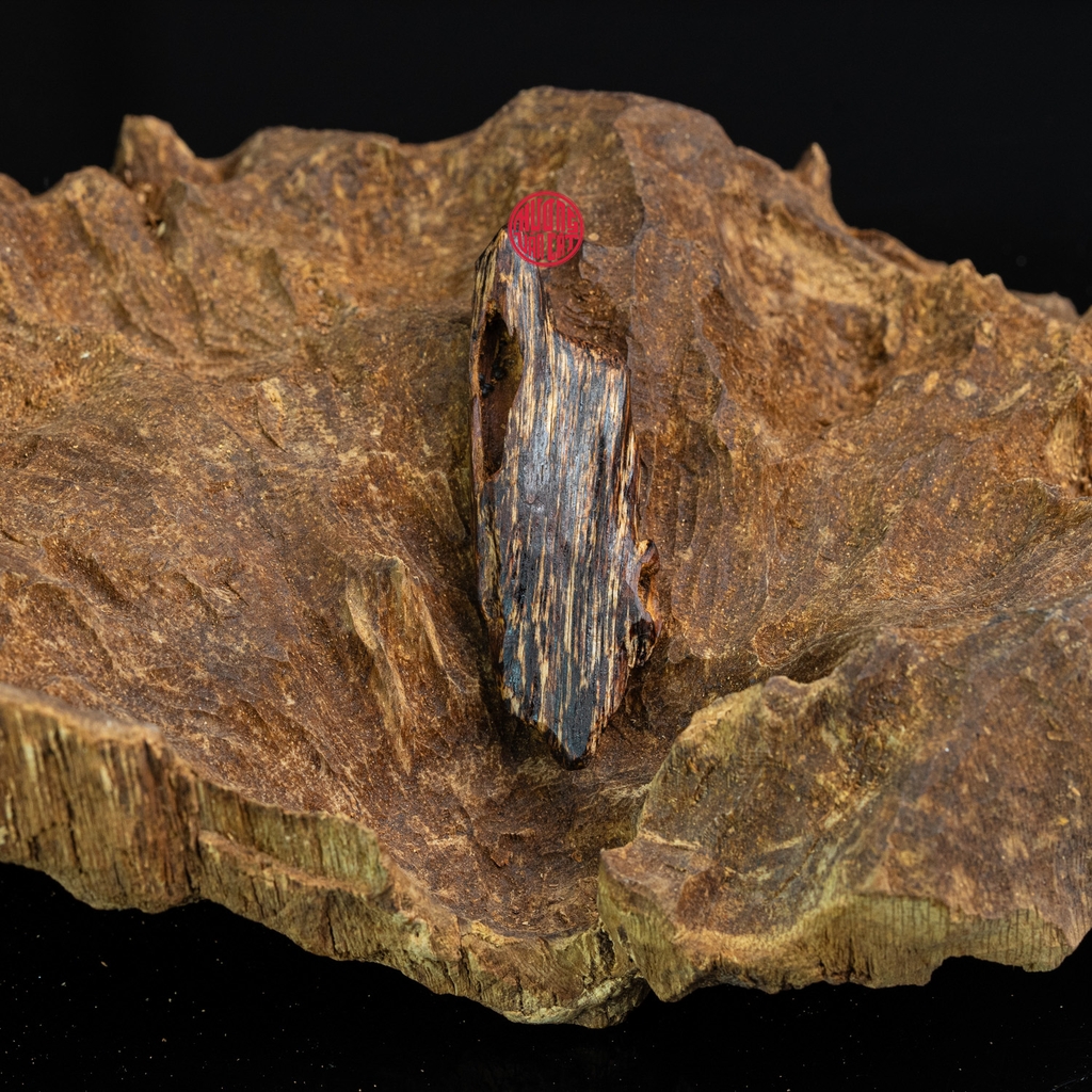 MẶT DÂY CHUYỀN TRẦM HƯƠNG CHÌM NƯỚC DÁNG TỰ NHIÊN (2G)