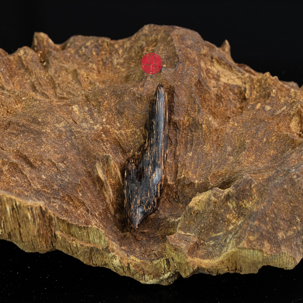 MẶT DÂY CHUYỀN TRẦM HƯƠNG CHÌM NƯỚC DÁNG TỰ NHIÊN (1,8G)