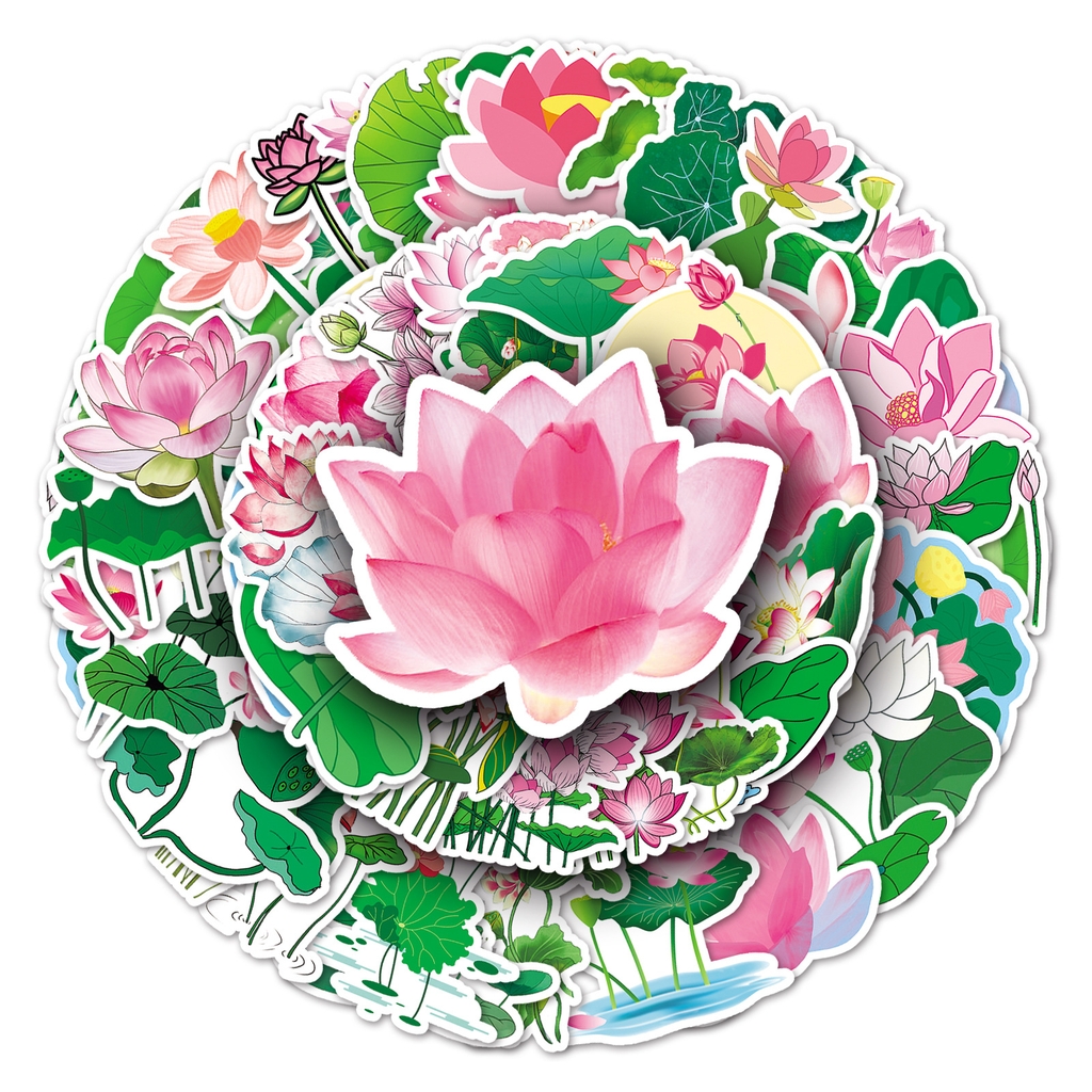50 tấm dán Sticker Hoa Sen không thấm nước dán laptop, điện thoại, nón bảo hiểm, xe, điện thoại, vali...