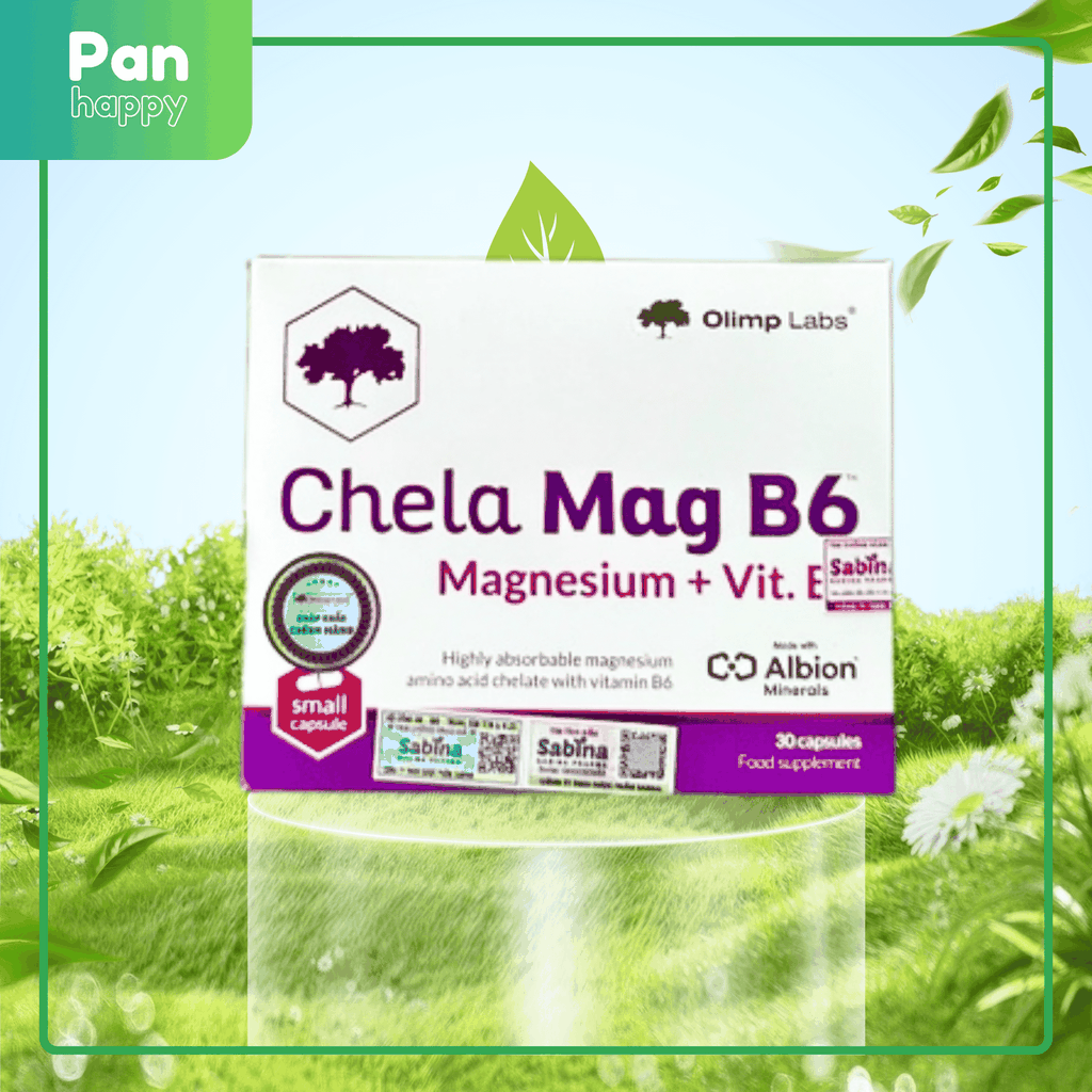 Chela Magie B6