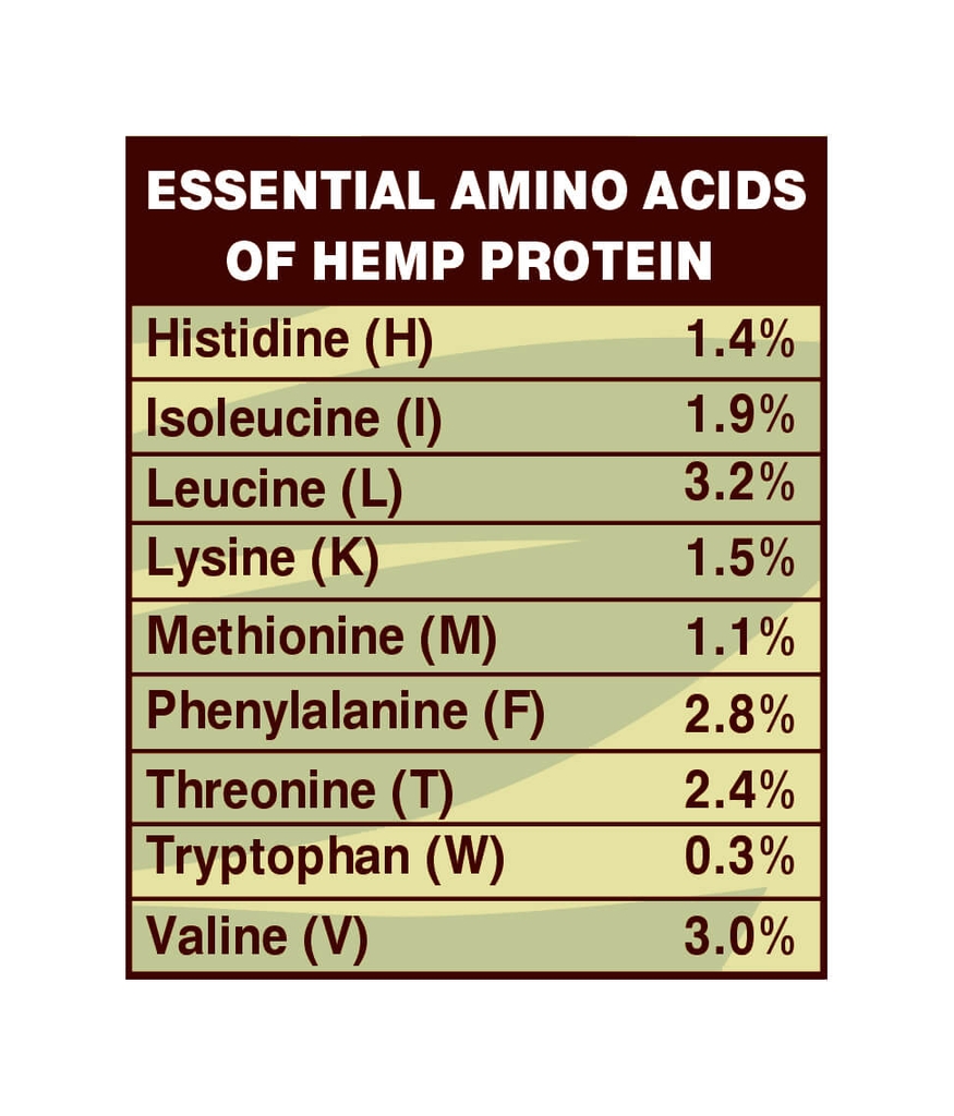 DS Protein Hemp Gai dầu Hữu Cơ 200G