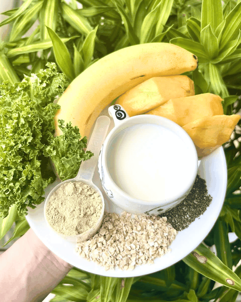 Orgain Protein Đạm thực vật hữu cơ Không ngọt 720g