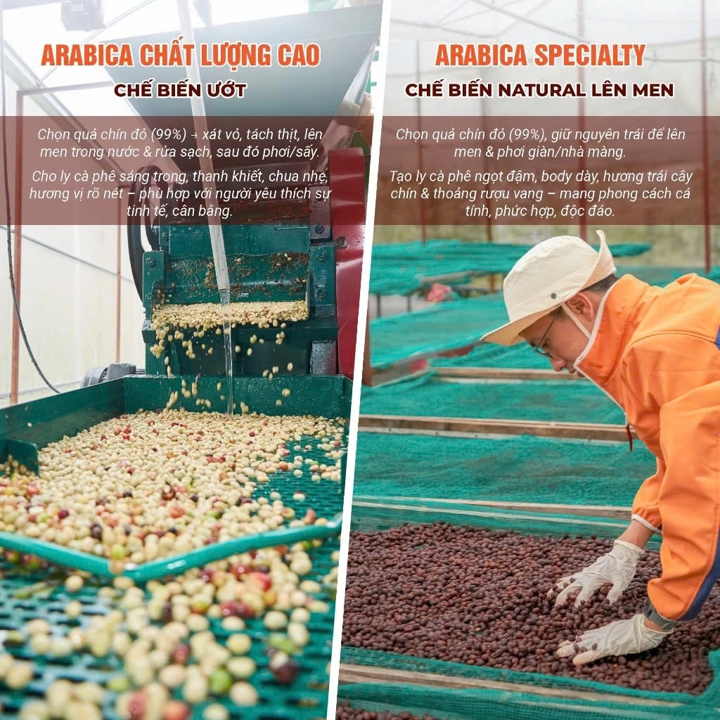 Cà phê Ủ lạnh Cold Brew