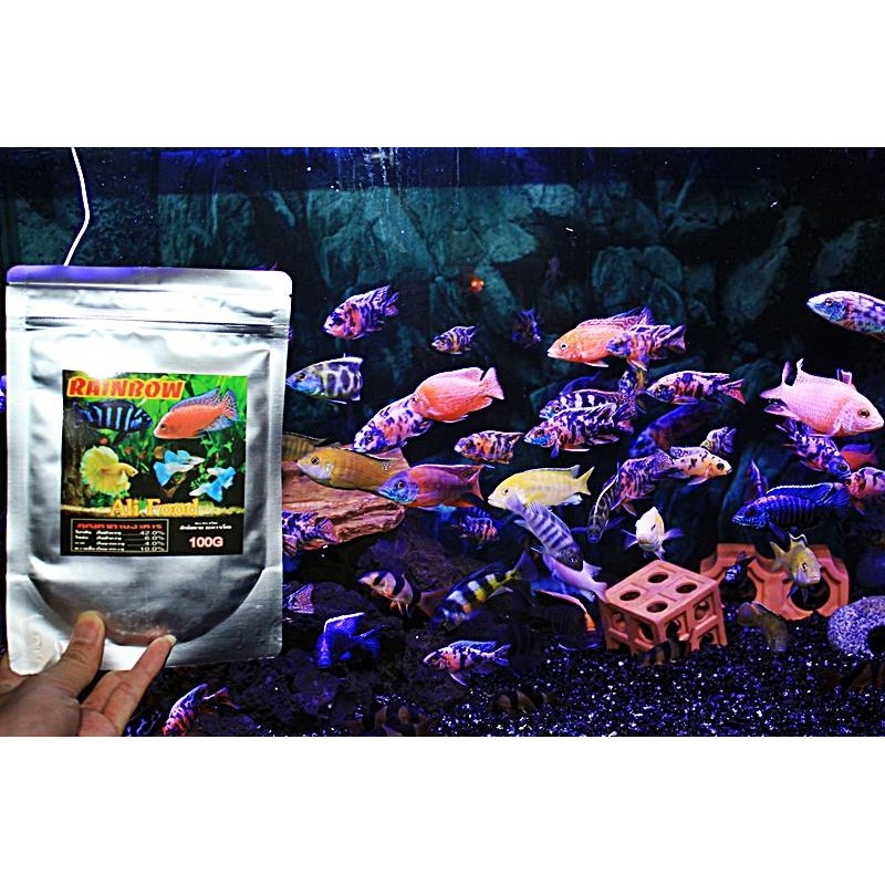 Thức Ăn Rainbow Lên Màu Cho Cá Ali và các loại cá cảnh | Cá Cưng Thức Ăn Rainbow Lên Màu Cho Cá Ali Và Các Loại Cá Cảnh | Cá Cưng
