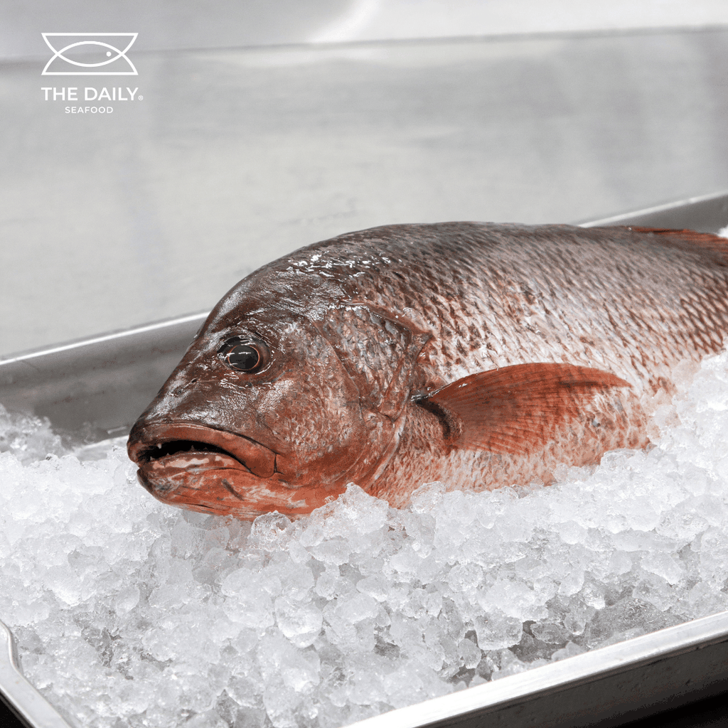 CÁ HỒNG BẠC FILLET