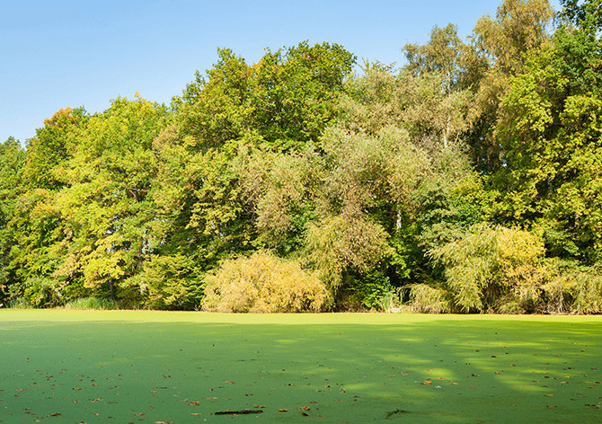 Bí quyết xử lý sự cố hữu ích khi chơi golf!