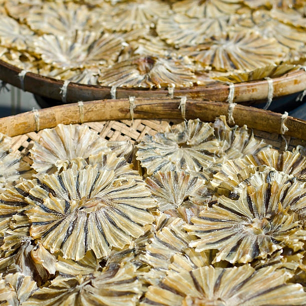 Khô cá đuối đặc sản Việt Nam- Vài Ly Đê Khô Cá Đuối | Triều Đình Seafood