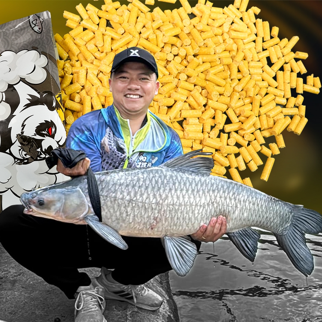 Hạt Xả Gấu Đen - Ngũ Cốc Hoa Quả