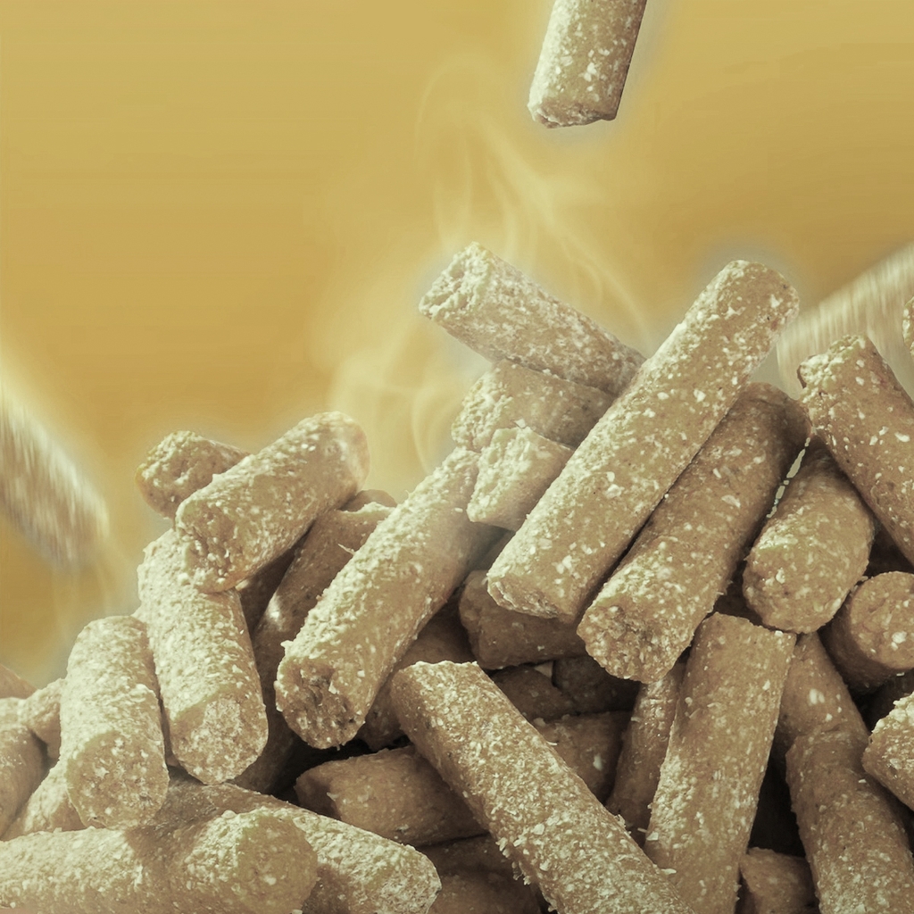 Hạt Xả GUF Gấu Đen - Ốc Thơm