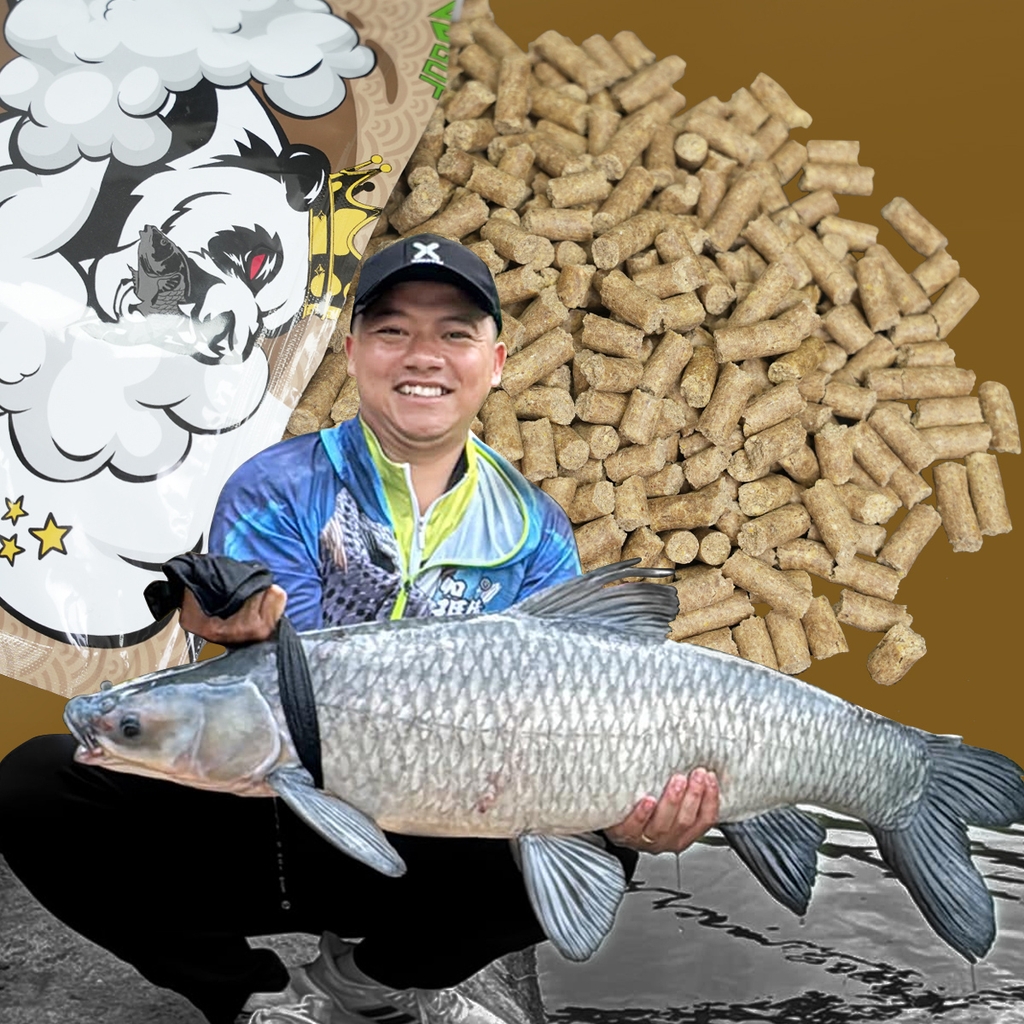 Hạt Xả GUF Gấu Đen - Ốc Thơm