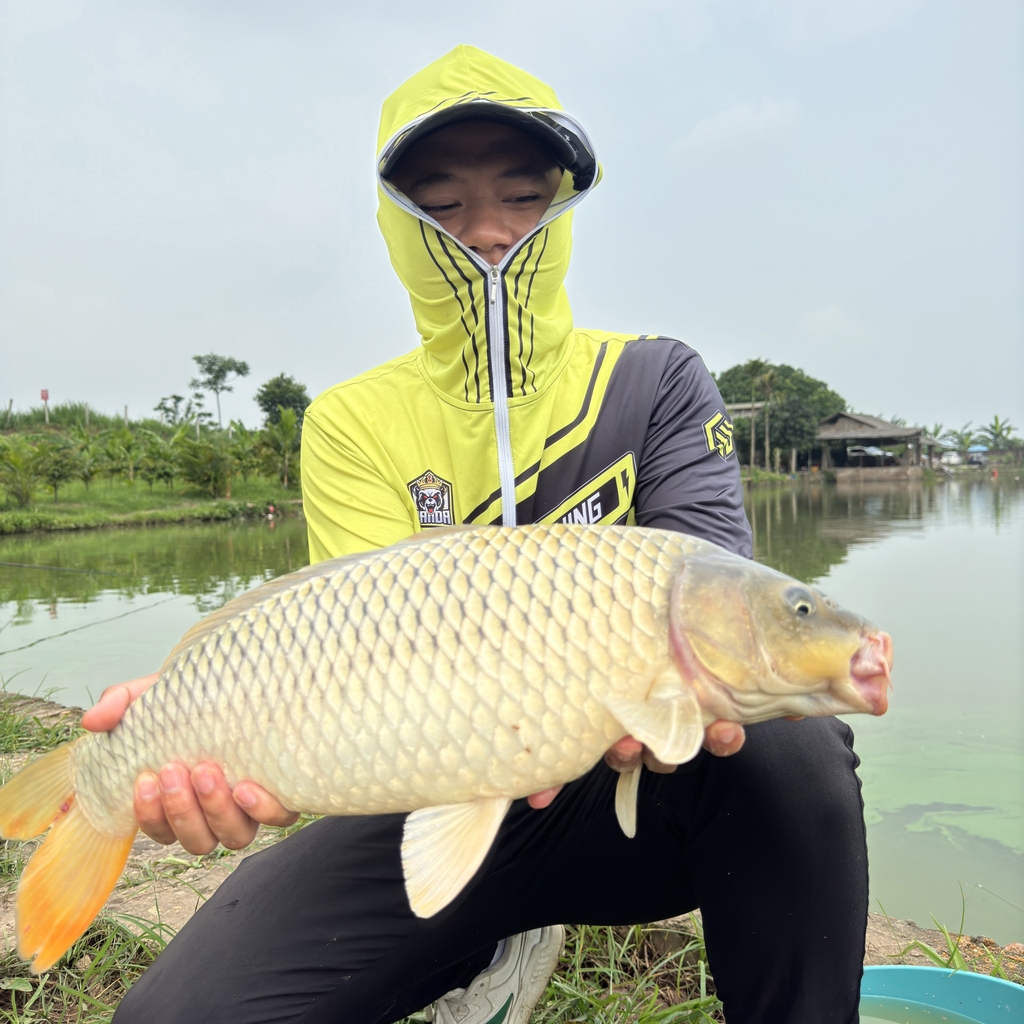 Hương liệu GUF Bột Sữa Ngọt
