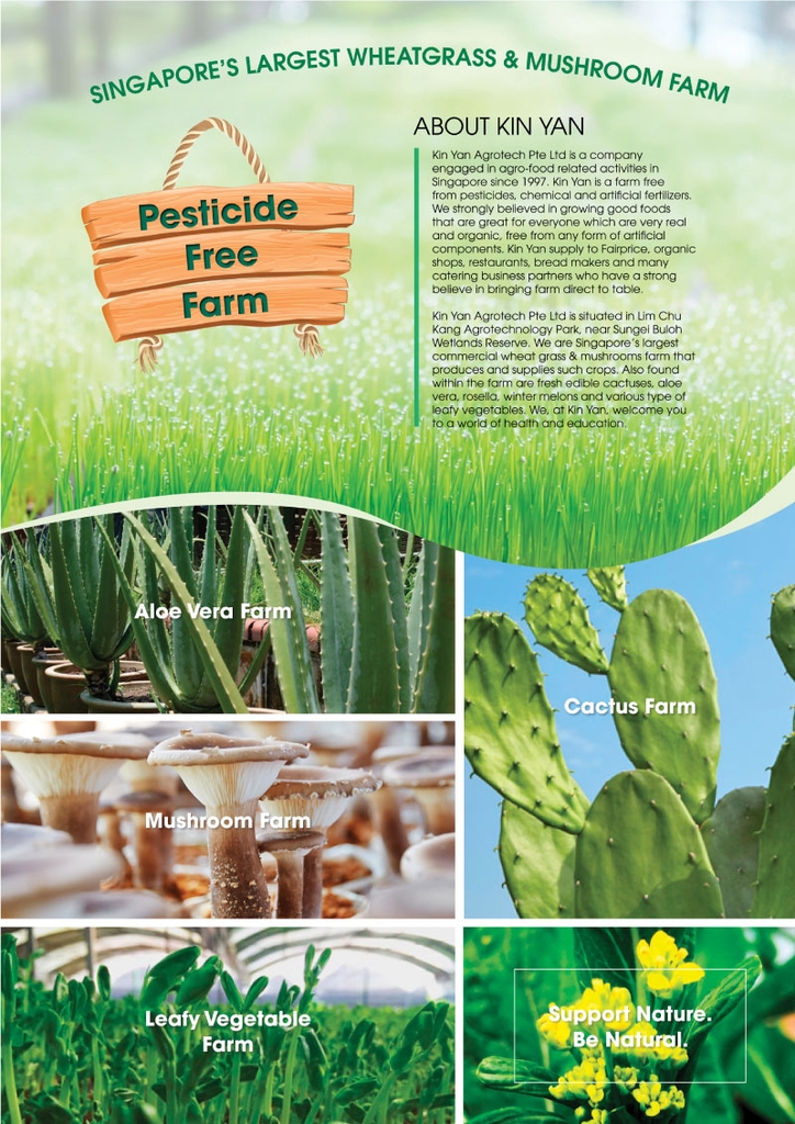 Bột ngũ cốc dinh dưỡng 22 Complete Nutrimix - Wheat Grass (Mầm lúa mì) 750g - Hộp thiếc