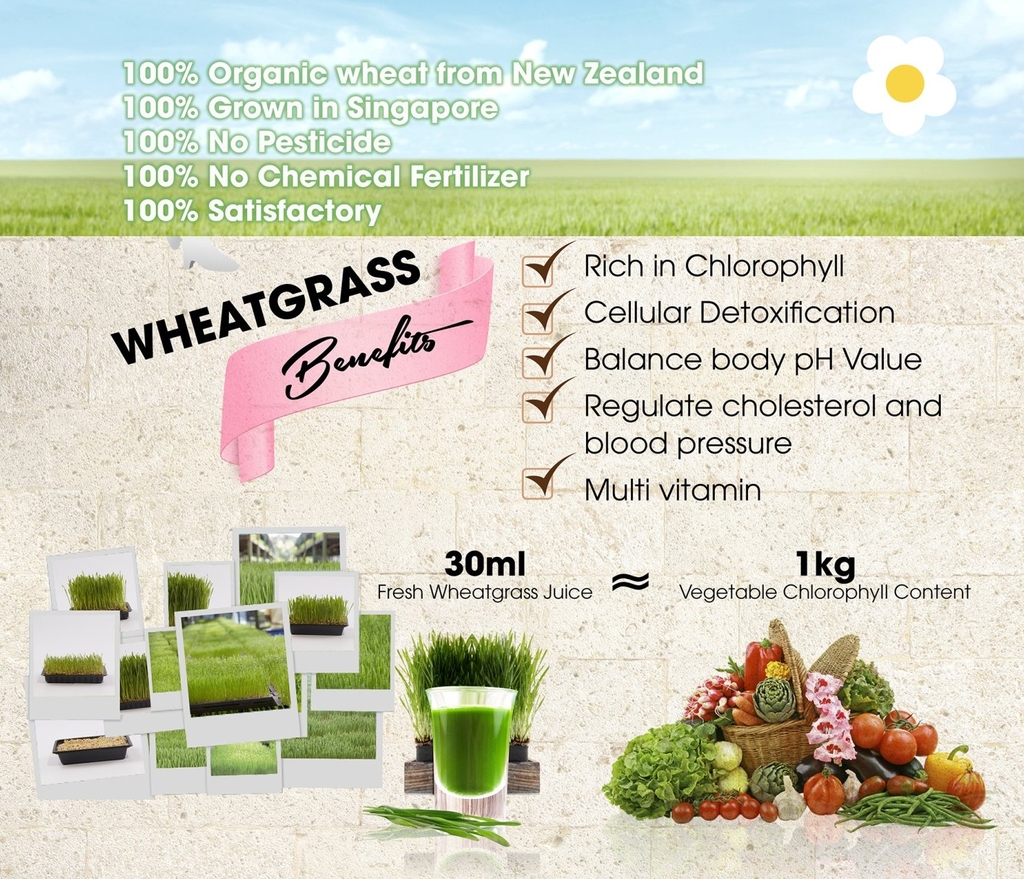 Bột ngũ cốc dinh dưỡng 22 Dr. B-Glucan Wheat Grass (Phù hợp hơn cho người tiều đường hoặc ăn kiêng) 750g - Hộp thiếc